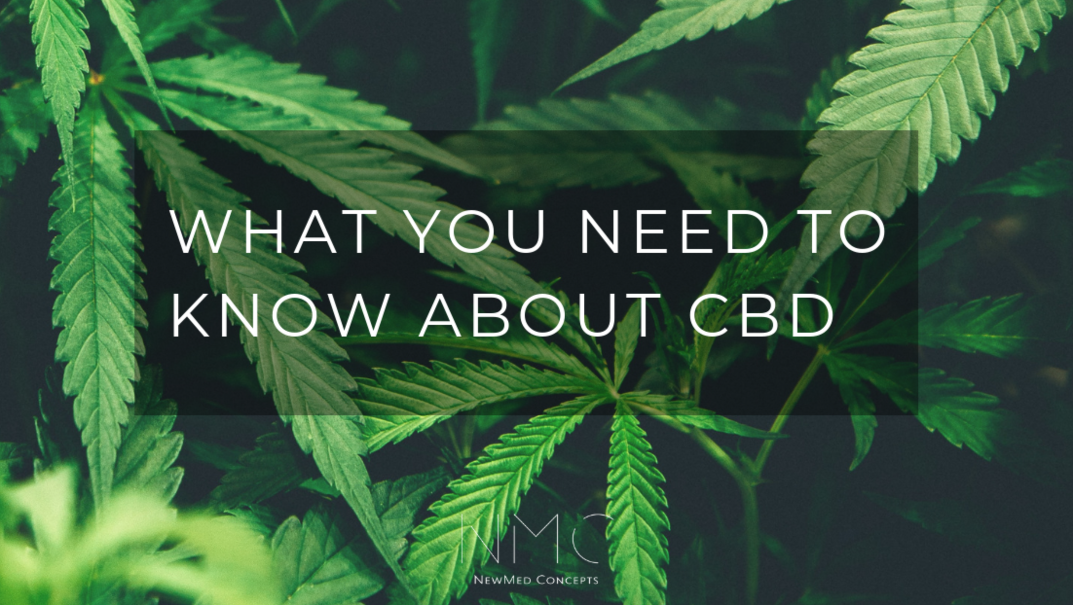 You are currently viewing What You Need to Know about CBD