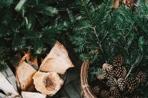Read more about the article Preparing for the Holiday Rush During the Pandemic – Part 1: In-Person Ideas