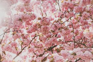Read more about the article Top Spa Treatments for Planning Spring Promotions