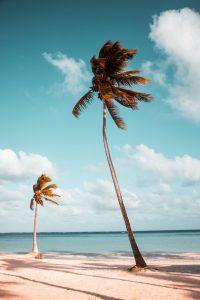 Read more about the article Prepare Your Spa or Esty Business for Summer with This Checklist
