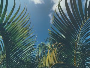 Read more about the article Four Ways to Refresh Your Summer Retail Display