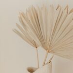 The Missing Piece in Aesthetic Treatments: A Holistic Approach for Lasting Results