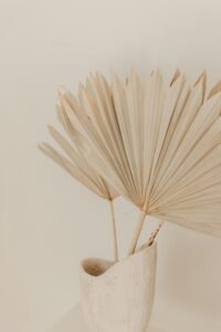 Read more about the article The Missing Piece in Aesthetic Treatments: A Holistic Approach for Lasting Results