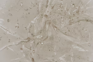 Read more about the article Understanding Stem Cell Growth Factors: The Future of Skin Rejuvenation